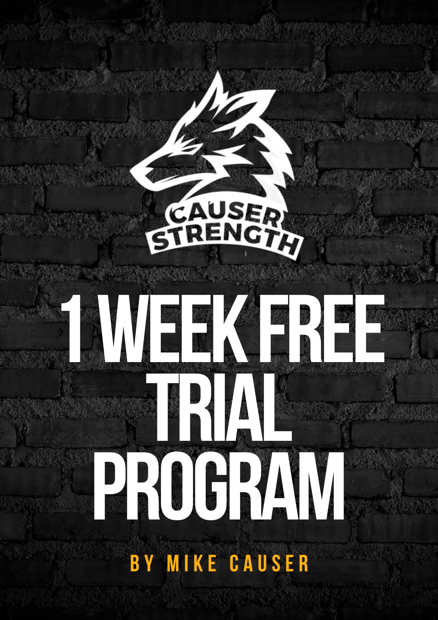 7-Day Trial Programme – Causer Strength